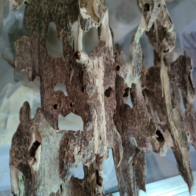 flower2-services-pic2